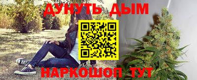 амф Кандалакша